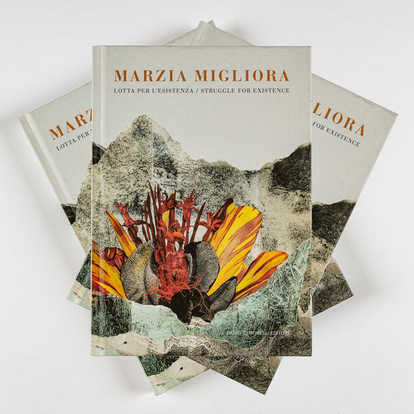 LOTTA PER L'ESISTENZA - CATALOGO DELLA MOSTRA