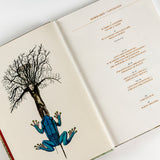 LOTTA PER L'ESISTENZA - CATALOGO DELLA MOSTRA